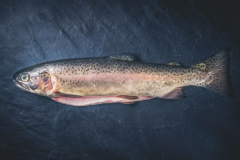 Raw trout on the dark stone background top view