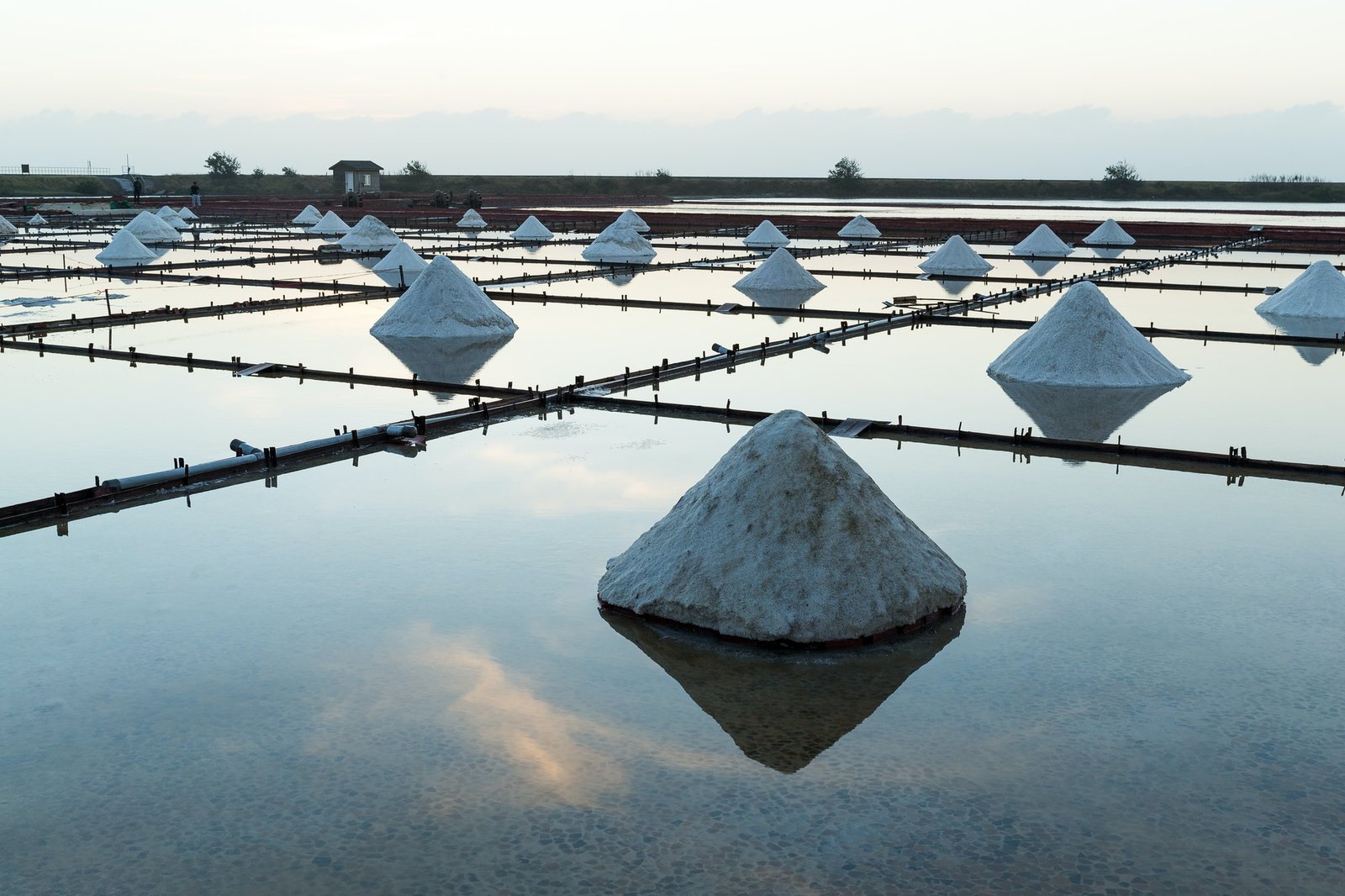 Should You Add Salt To An Aquaponics System 