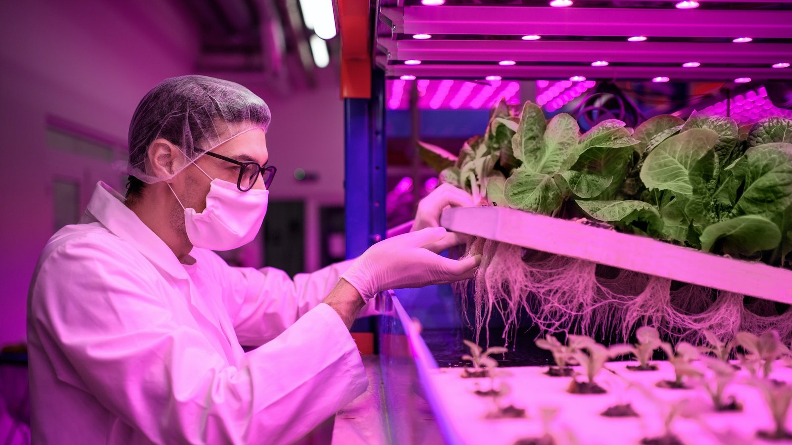 what-can-you-grow-with-aquaponics-aquaponics-made-simple