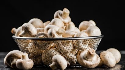 how To Grow Mushrooms In Aquaponics