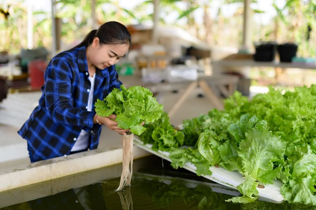 a woman looking down at some lettuce in an aquapon